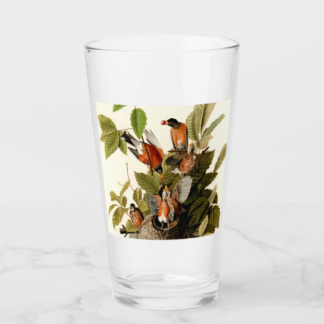 Audubon American Robin Wildlife Bird Illustration Glass (Front)