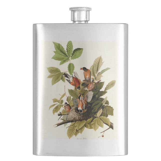 Audubon American Robin Wildlife Bird Illustration Hip Flask (Front)