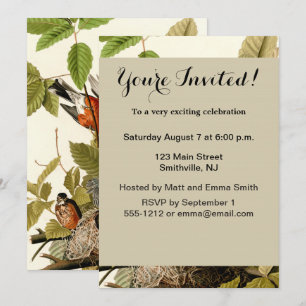 Audubon American Robin Wildlife Bird Illustration Invitation