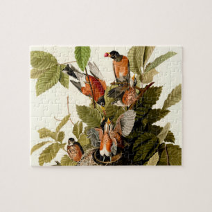 Audubon American Robin Wildlife Bird Illustration Jigsaw Puzzle