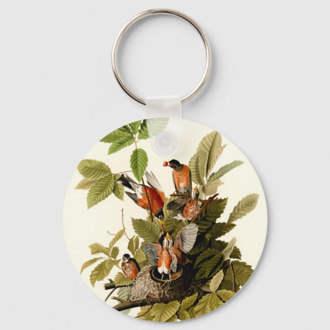 Audubon American Robin Wildlife Bird Illustration Keychain (Front)