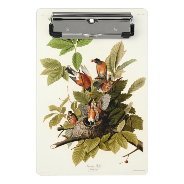 Audubon American Robin Wildlife Bird Illustration Mini Clipboard (Front)
