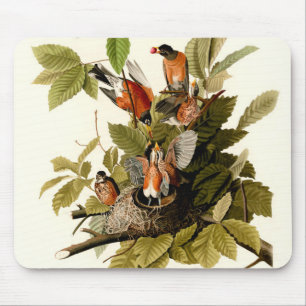 Audubon American Robin Wildlife Bird Illustration Mouse Pad