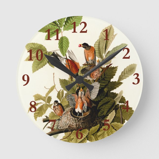 Audubon American Robin Wildlife Bird Illustration Round Clock (Front)