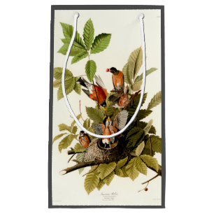 Audubon American Robin Wildlife Bird Illustration Small Gift Bag