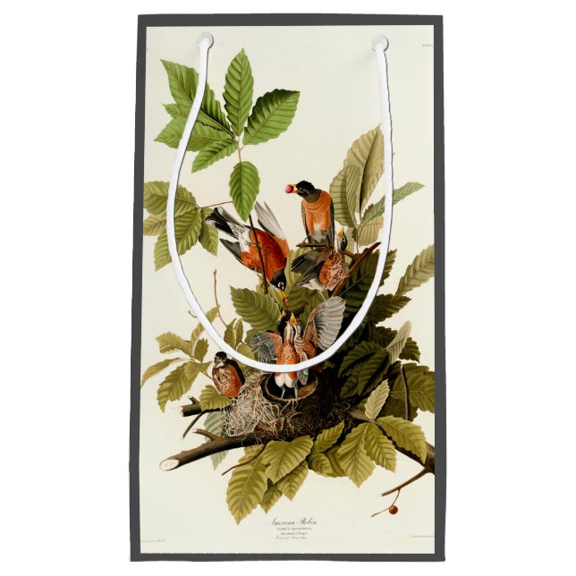 Audubon American Robin Wildlife Bird Illustration Small Gift Bag (Front)
