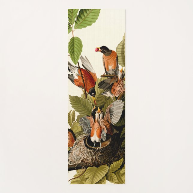 Audubon American Robin Wildlife Bird Illustration Yoga Mat (Front)