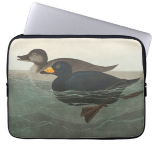 Audubon American Scoter Duck Laptop Sleeve