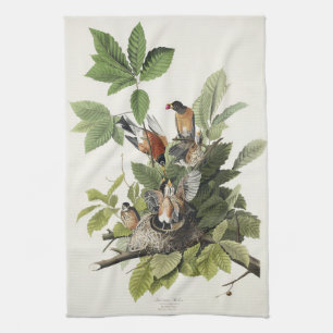 Audubon American Spring Robin Bird Illustration Kitchen Towel