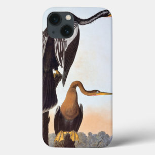 Audubon: Anhinga iPhone 13 Case