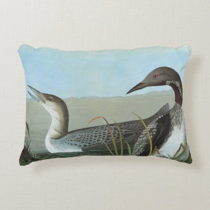 Audubon: Arctic Loon Decorative Pillow