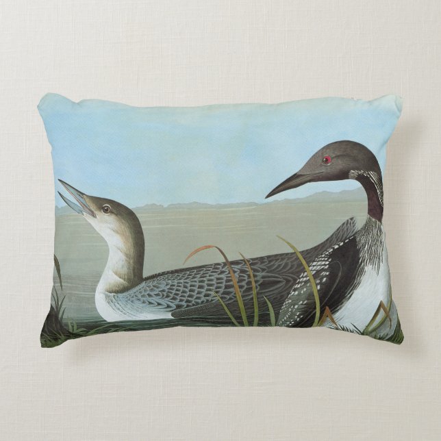 Audubon: Arctic Loon Decorative Pillow (Front)