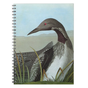Audubon: Arctic Loon Notebook