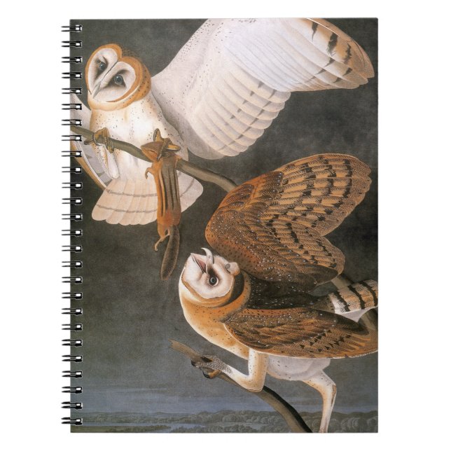 Audubon: Barn Owl Notebook (Front)