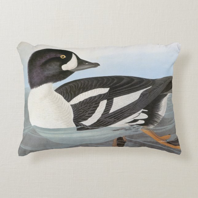 Audubon: Barrow's Goldeneye Accent Pillow (Front)