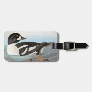 Audubon: Barrow's Goldeneye Luggage Tag