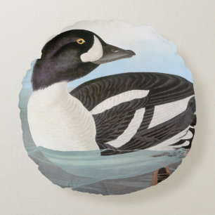 Audubon: Barrow's Goldeneye Round Pillow