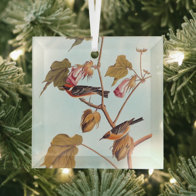 Audubon Bay-Breasted Warbler Bird on Cotton Plant Glass Ornament (Insitu)
