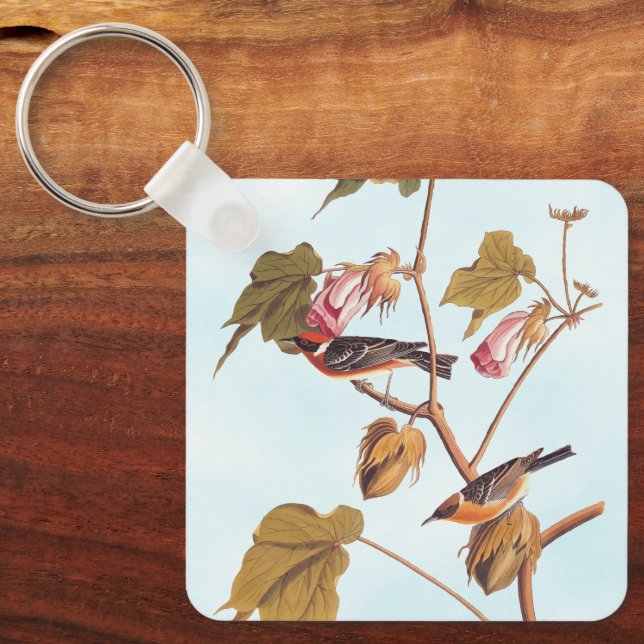 Audubon Bay-Breasted Warbler Bird on Cotton Plant Keychain (Front)