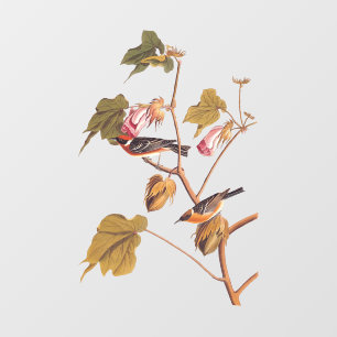 Audubon Bay-Breasted Warbler Bird on Cotton Plant Window Cling