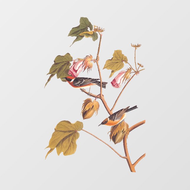 Audubon Bay-Breasted Warbler Bird on Cotton Plant Window Cling (Sheet)