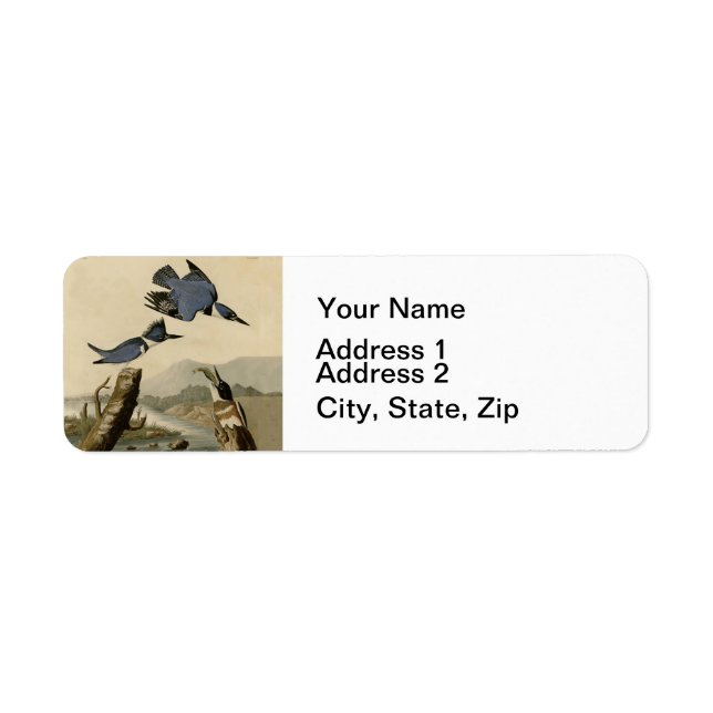 Audubon Belted Kingfisher Wildlife Bird (Devant)