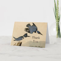 Audubon Belted Kingfisher Wildlife Bird