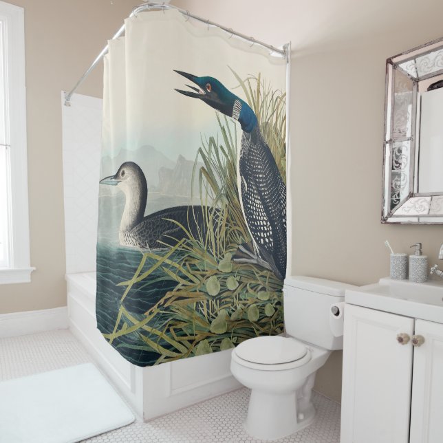 Audubon Bird Loon Diver Classic (In Situ)