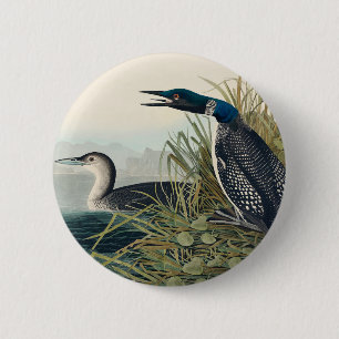 Audubon Bird Loon Diver Classic 2 Inch Round Button