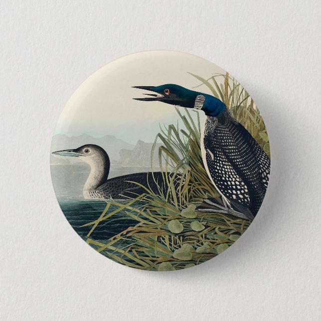 Audubon Bird Loon Diver Classic 2 Inch Round Button (Front)