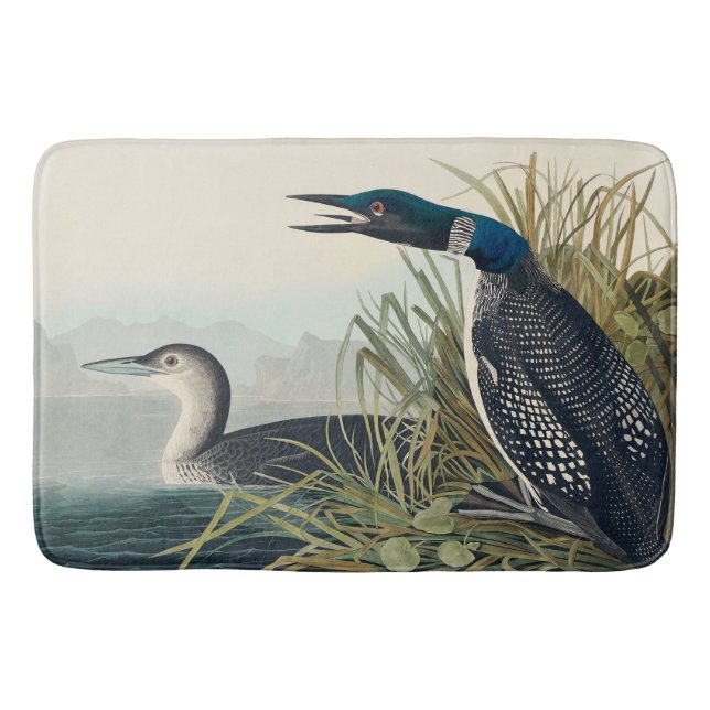 Audubon Bird Loon Diver Classic Bath Mat (Front)