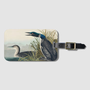 Audubon Bird Loon Diver Classic Luggage Tag
