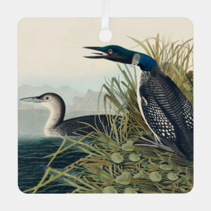 Audubon Bird Loon Diver Classic Metal Ornament
