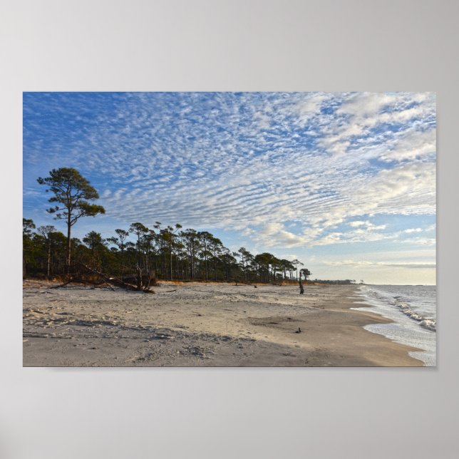 Audubon Bird Refuge Beach, Dauphin Island, Alabama Poster (Front)