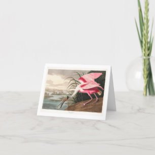 Audubon Birds of America Thank You Card