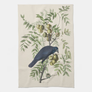 Audubon Black Crow American Bird Illustration Kitchen Towel