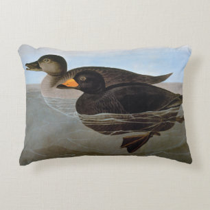 Audubon: Black Scoter Decorative Pillow