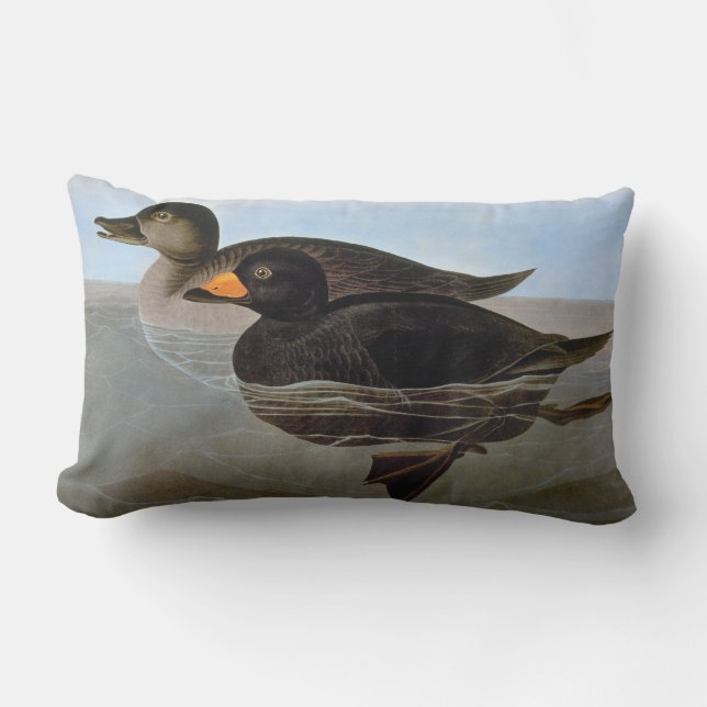 Audubon: Black Scoter Lumbar Pillow (Front)