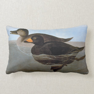 Audubon: Black Scoter Lumbar Pillow