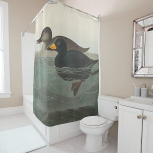 Audubon Black Scoter Print: Vintage Coastal Duck