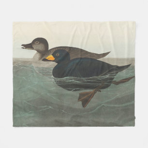 Audubon Black Scoter Print: Vintage Coastal Duck Fleece Blanket