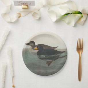 Audubon Black Scoter Print: Vintage Coastal Duck Paper Plate