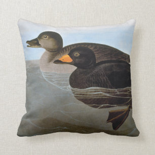 Audubon: Black Scoter Throw Pillow