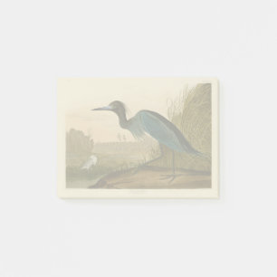 Audubon Blue Crane Heron Birds of America Post-it Notes