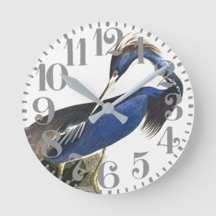 Audubon Blue Heron Bird Grand Nombre Mur Horloge