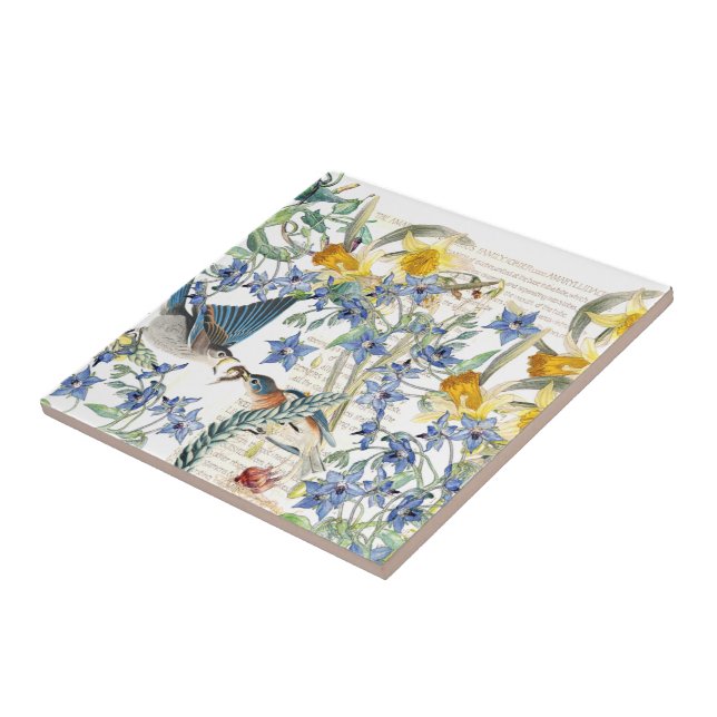 Audubon Bluebird Birds Narcissus Flowers Tile (Side)