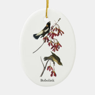 Audubon Bobolink Ceramic Ornament