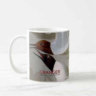Audubon: Bonaparte's Gull Coffee Mug