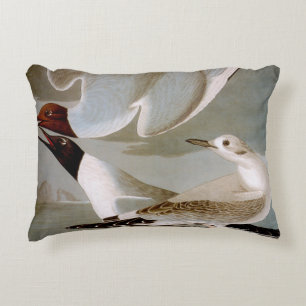 Audubon: Bonaparte's Gull Decorative Pillow