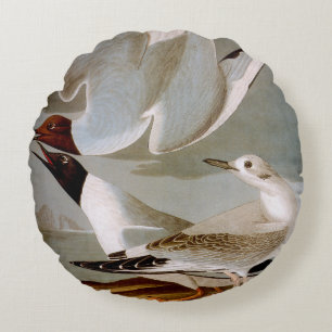 Audubon: Bonaparte's Gull Round Pillow